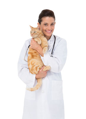 vepa pets club veterinario 2
