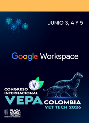 Inico vepa pets club veterinario gato 2 (3)
