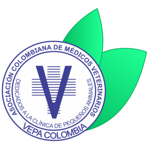 logo vectores congreso pestaña web